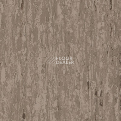 Линолеум Tarkett iq Optima BROWN BEIGE 0899 фото 1 | FLOORDEALER